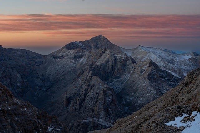 wind-protected balcony garden in Dublin with stable pots and vertical trellis for climbing veg