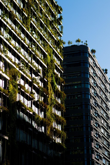 vertical edible garden on a Dublin balcony with trellis supports and sturdy containers for Irish wind