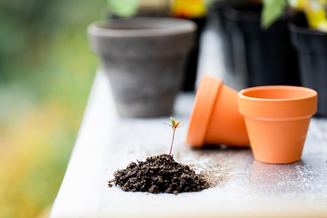 peat-free compost and garden tools laid out for Irish gardening with sturdy pots and hand trowel